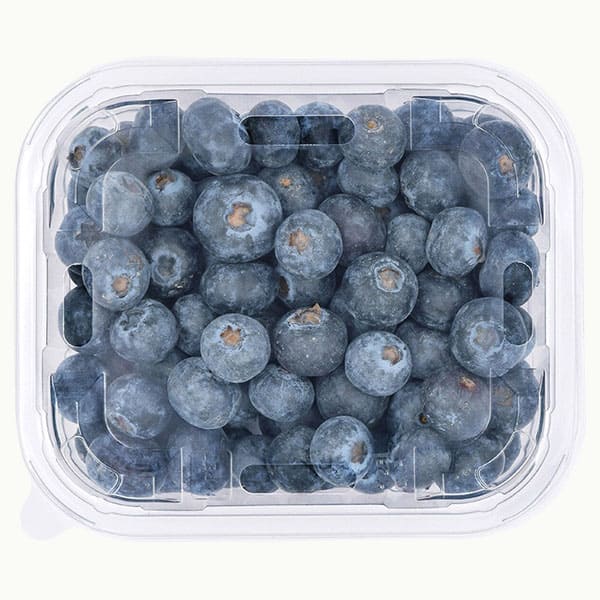 Blueberry Tub