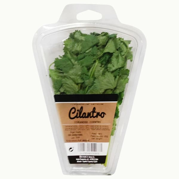 Coriander (bunch)