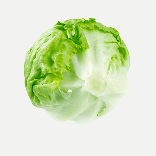 Iceberg Lettuce (1)