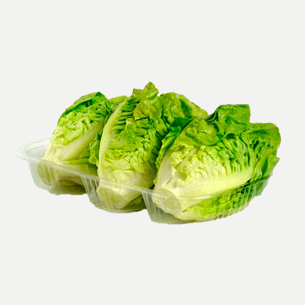 Lettuce Buds (pack)