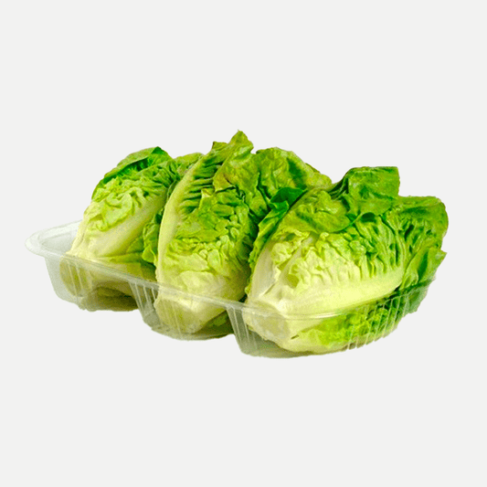 Lettuce Buds (pack)