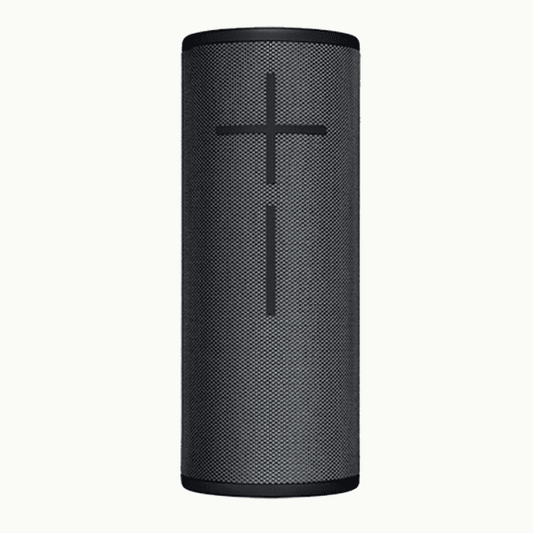 Portable Speaker (Rent)