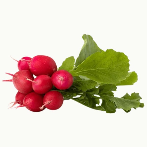 Radish (bunch)