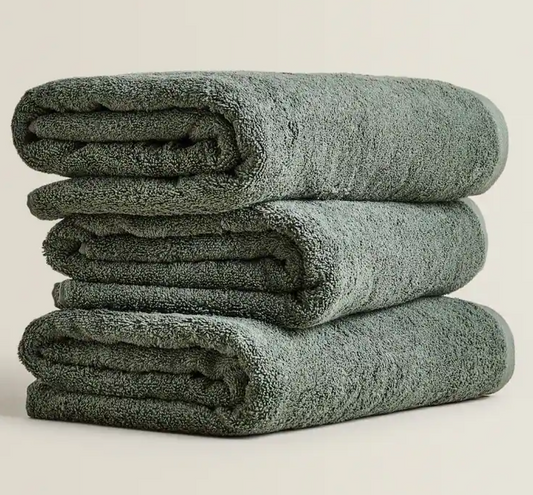1 Towel (Rent)
